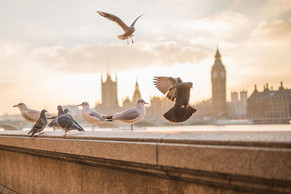 Navigating Emotions of Empty Nesting: From Sorrow to Serenity
