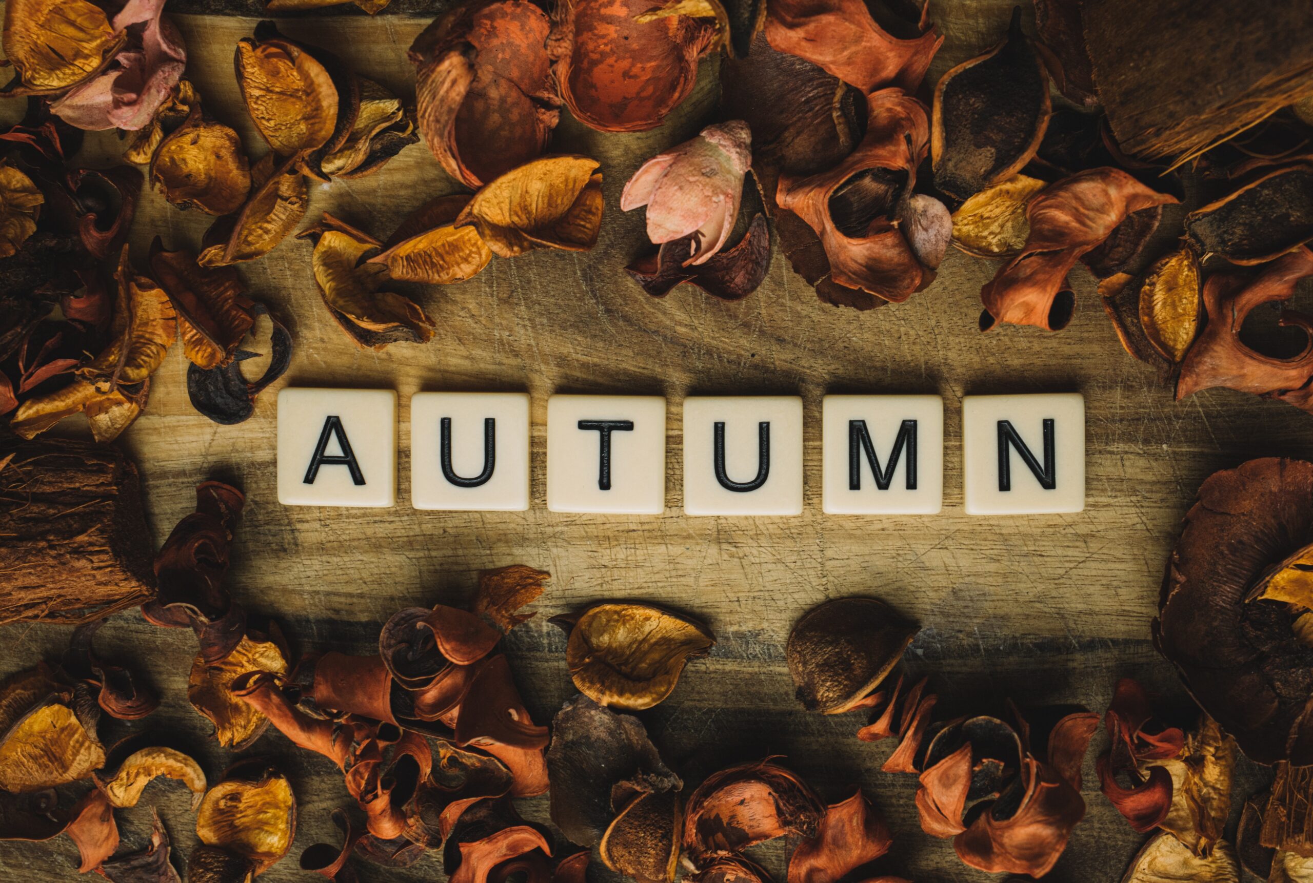 Embracing Autumn: Navigating Life’s Colorful Season After 50